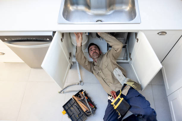 Best Local Plumber Services  in Mount Vernon, IA